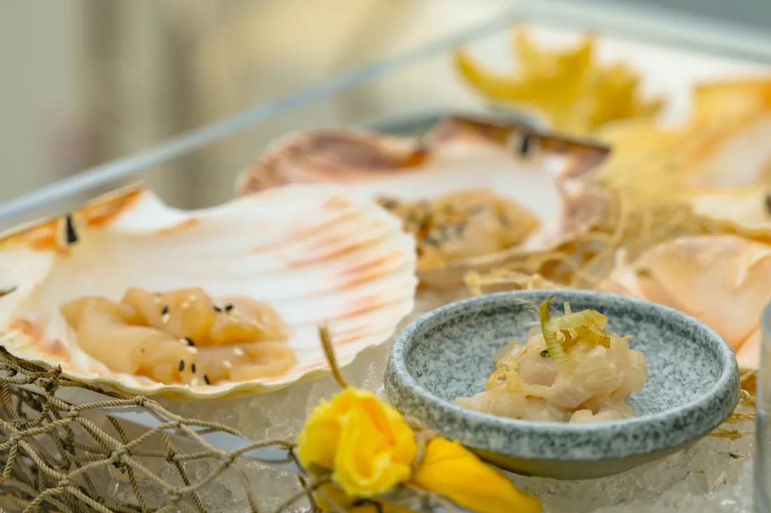 Raw bar with scallops and oysters on Riva Diva