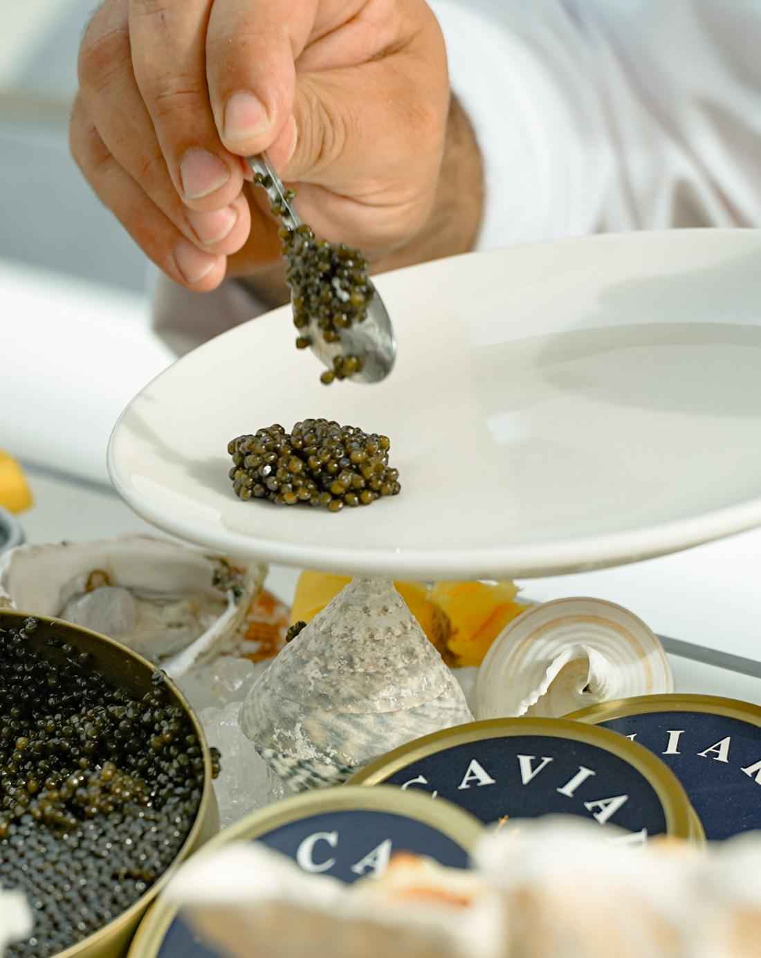 Caviar served on board a private yacht